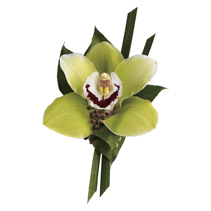 Green Orchid Boutonniere