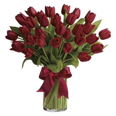 Radiantly Red Tulips