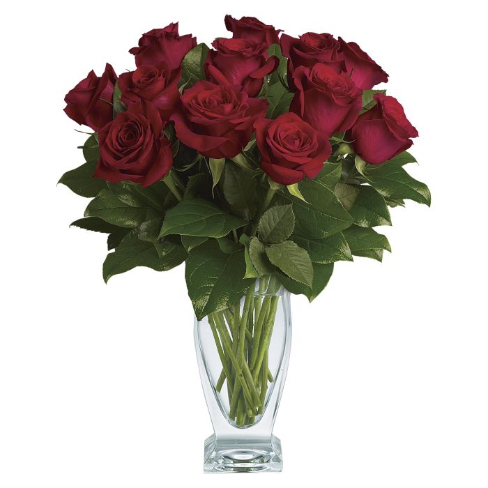 Rose Classique - Dozen Red Roses