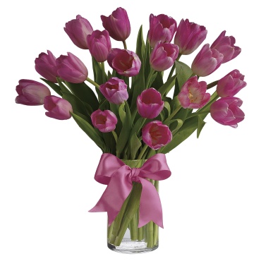 Precious Pink Tulips