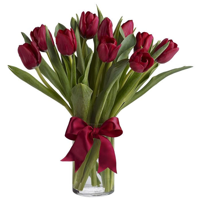 Radiantly Red Tulips