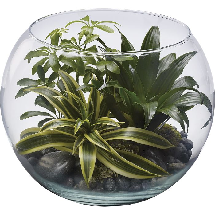 Sphere Of Tranquility Terrarium