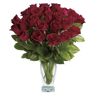 Rose Classique - Dozen Red Roses